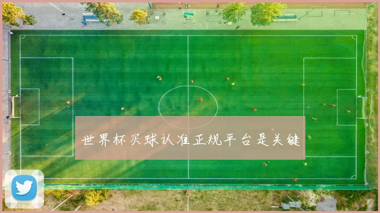世界杯买球认准正规平台是关键