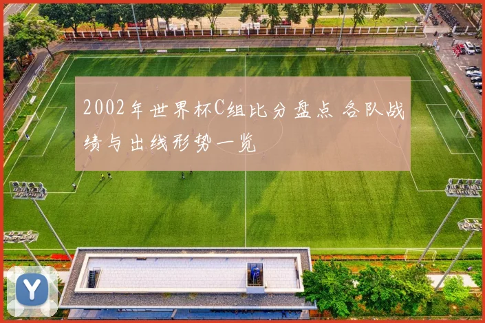 2002年世界杯C组比分盘点 各队战绩与出线形势一览