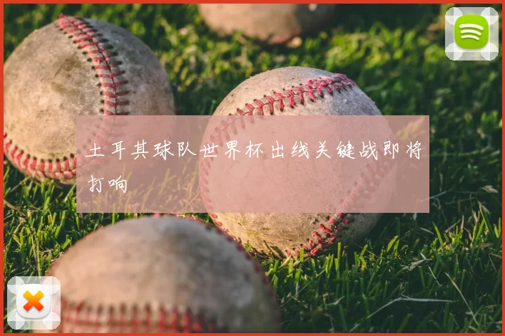 土耳其球队世界杯出线关键战即将打响