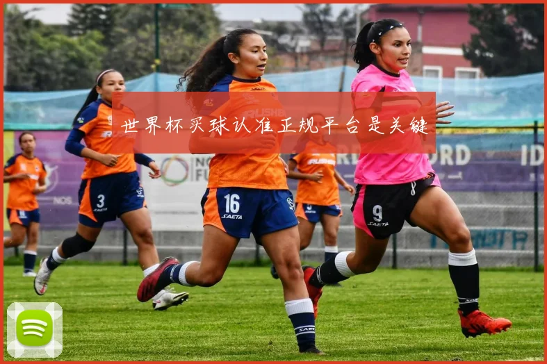 世界杯买球认准正规平台是关键